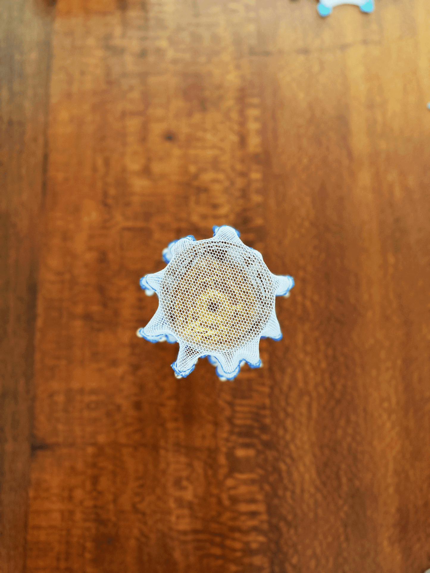 πΏβ¨ Vintage Glass Bug Covers with Shells β A Charming Outdoor Essential! π¦π΄
