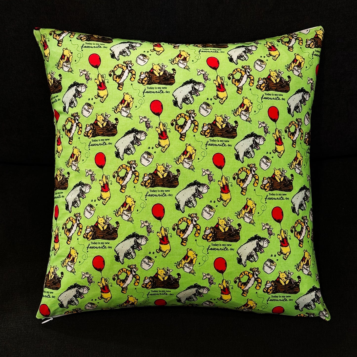 🌿 “Today Is My New Favourite Day” – Reversible Winnie the Pooh Cushion 🧸🎈