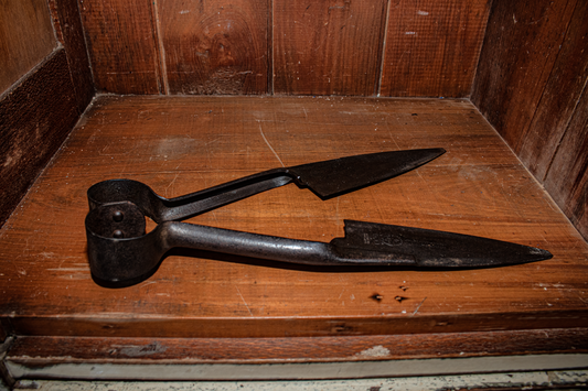 Antique Sheep and Goat Shears lying down