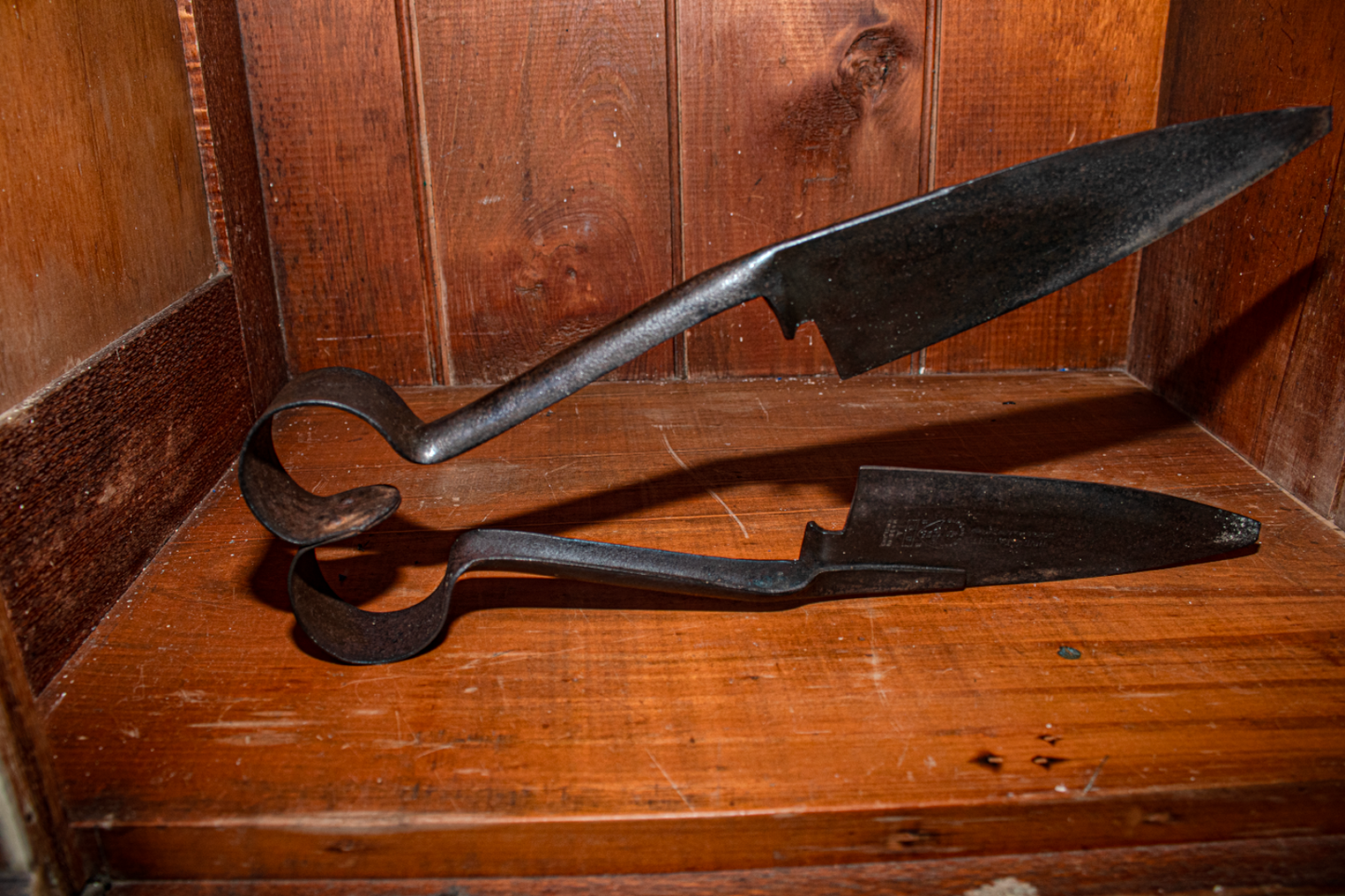 Antique Sheep and Goat Shears standing on their side