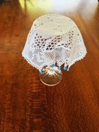🌿✨ Vintage Glass Bug Covers with Shells – A Charming Outdoor Essential! 🦋🍴