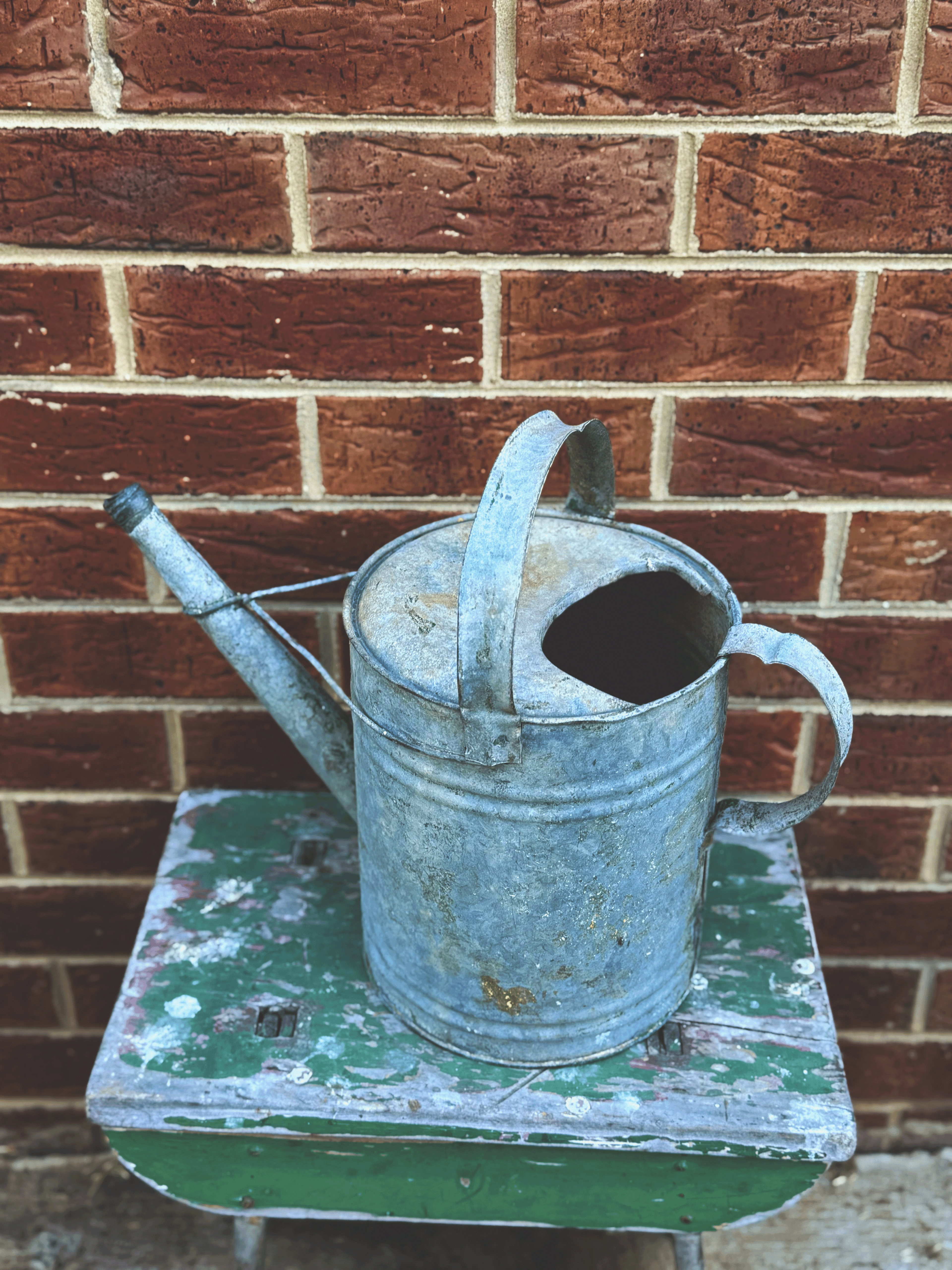 🌿 Vintage Willow Galvanised Watering Can – Rustic Charm 🪴