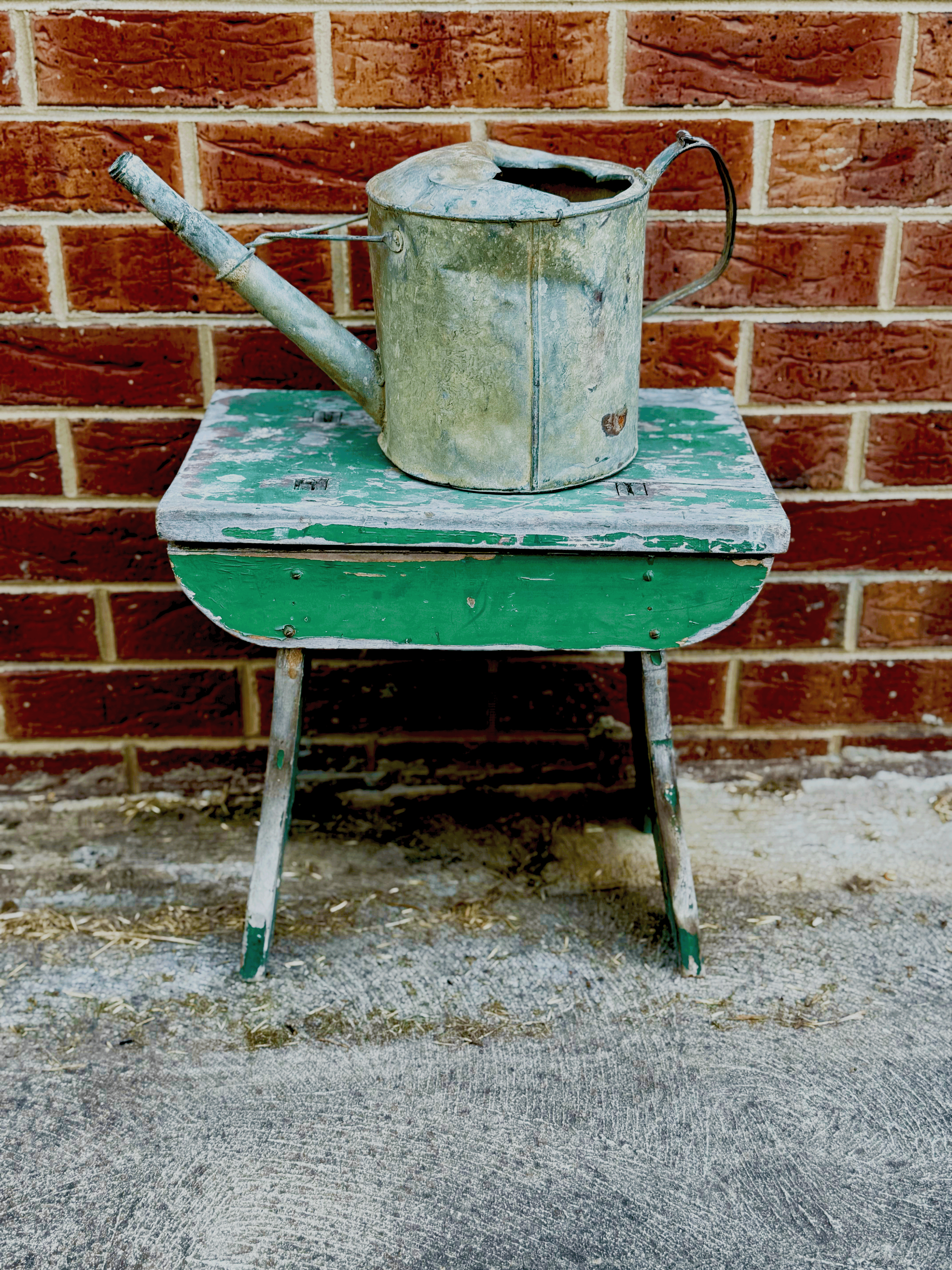 ✨ Vintage Galvanised Watering Can 🌿💧