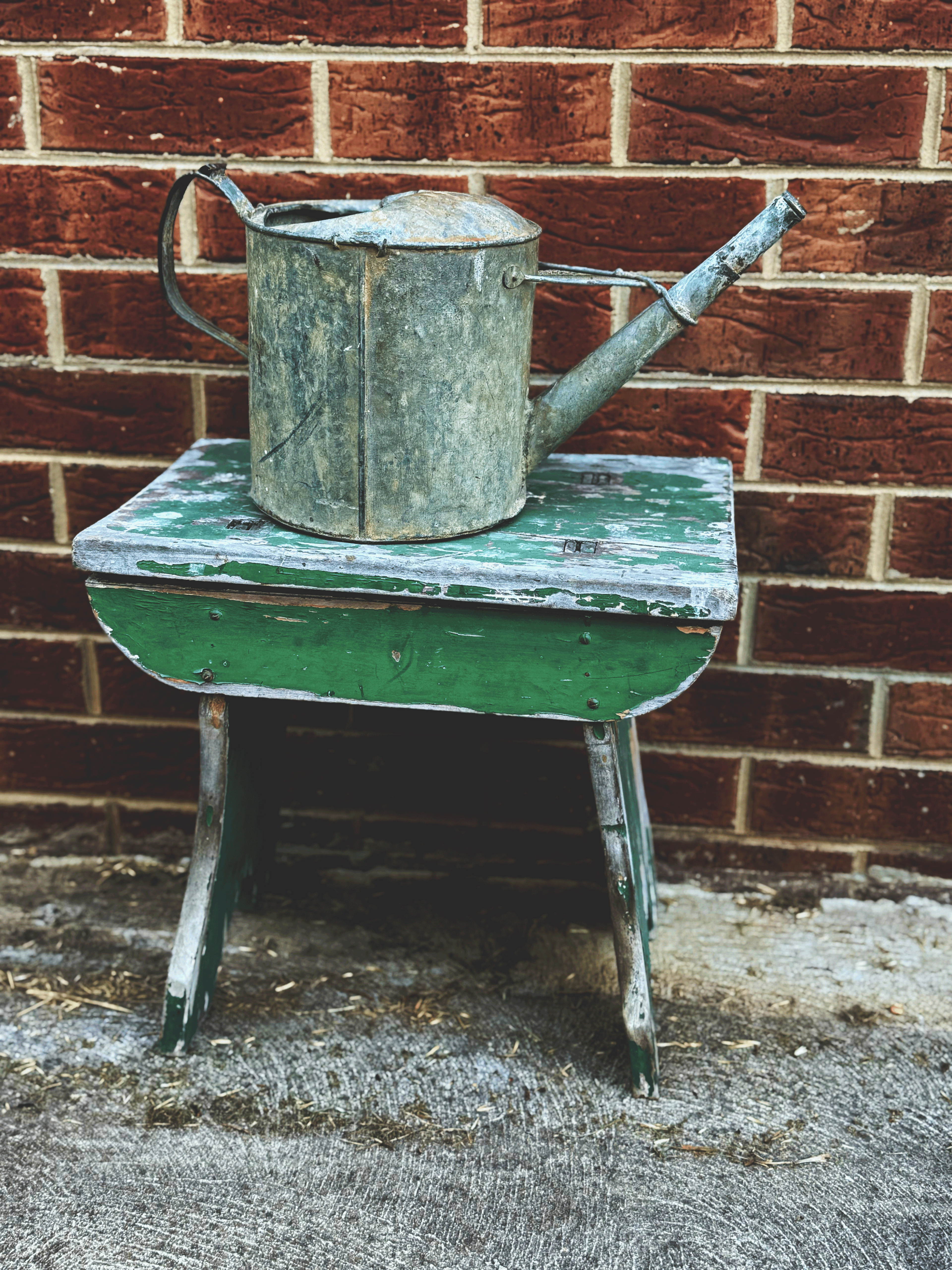 ✨ Vintage Galvanised Watering Can 🌿💧