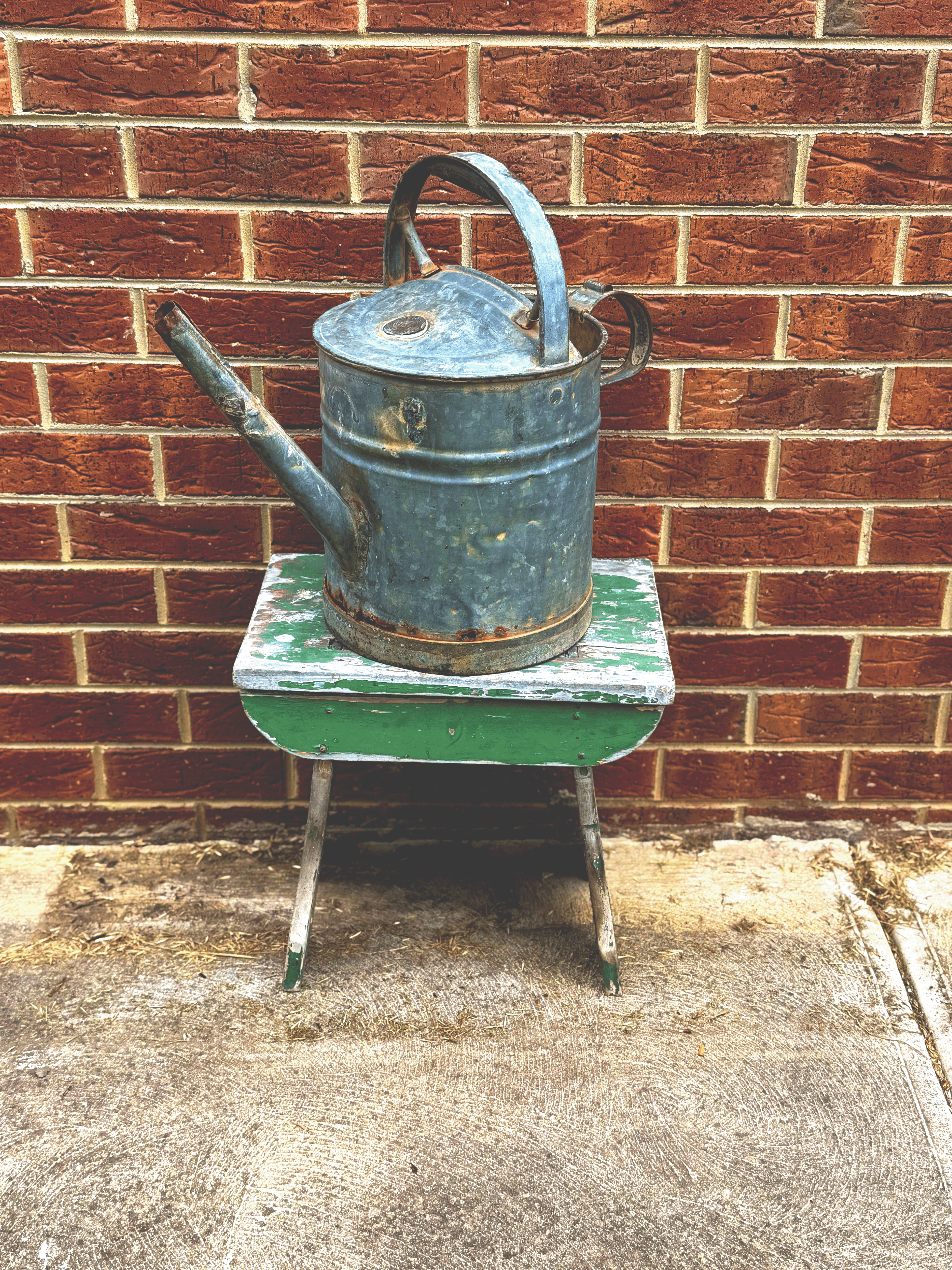 🌿 XL Vintage Galvanised Watering Can 🌿