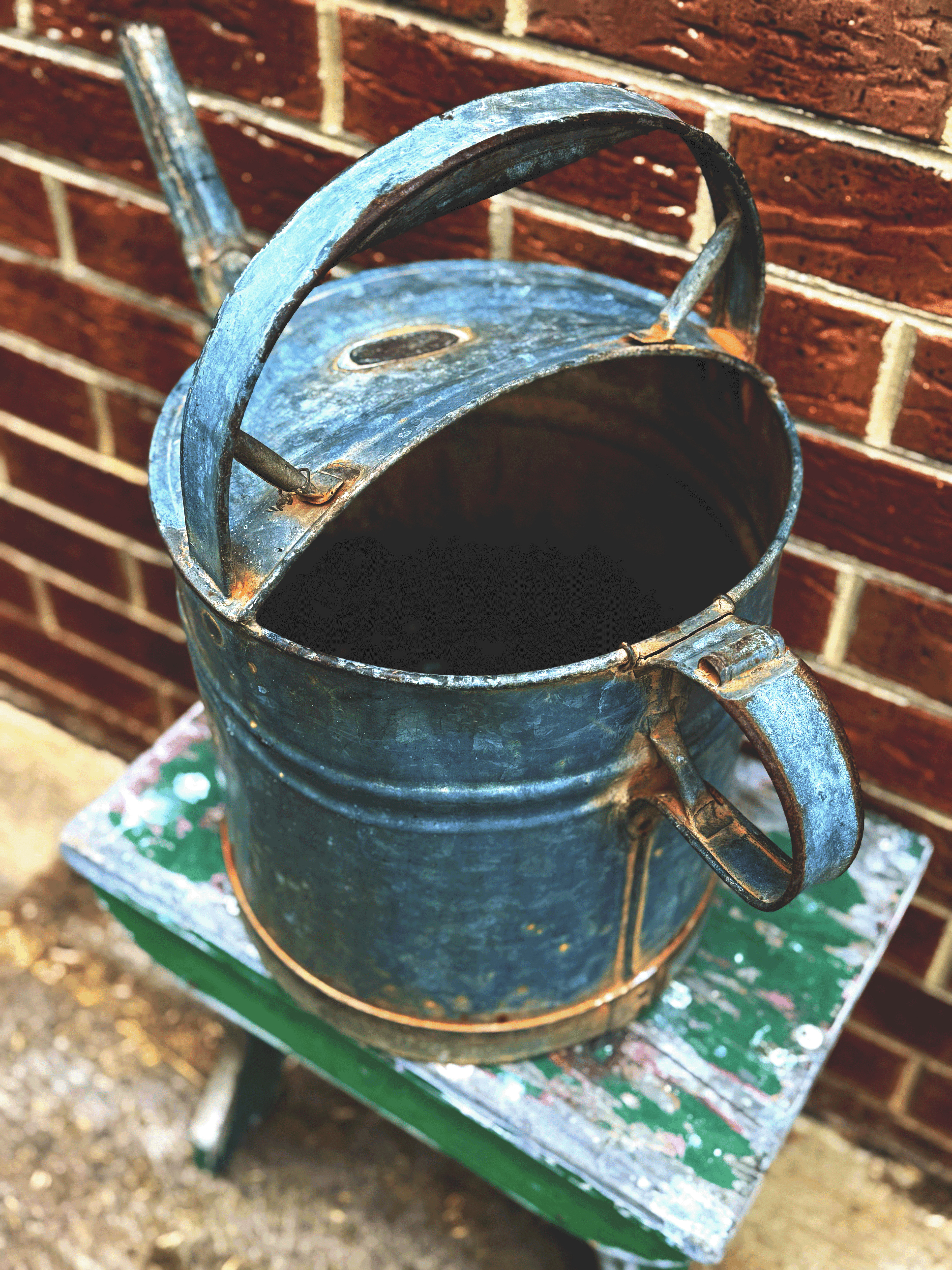 🌿 XL Vintage Galvanised Watering Can 🌿