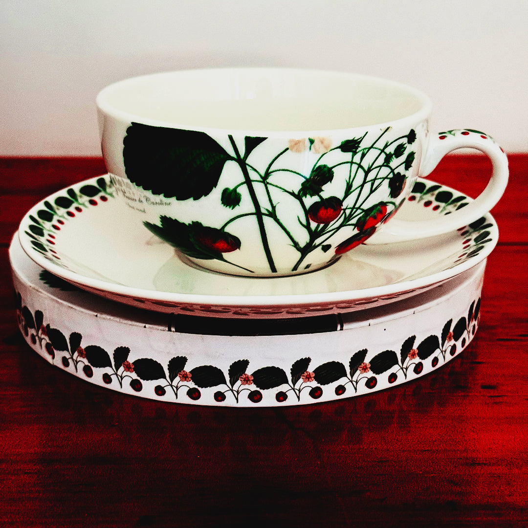 🫖🍓 Kew Gardens ‘Wild Strawberries’ Tea for One & Saucer Set
