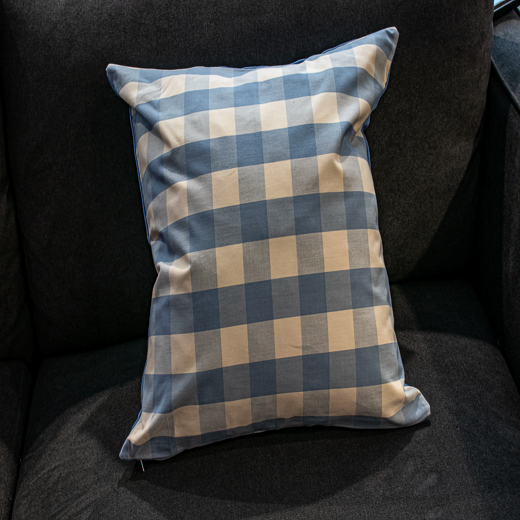 A close-up of the Luxe & Humble Gingham Blue and Beige Pillow featuring a soft cotton texture and a classic checkered gingham pattern on a dark sofa.