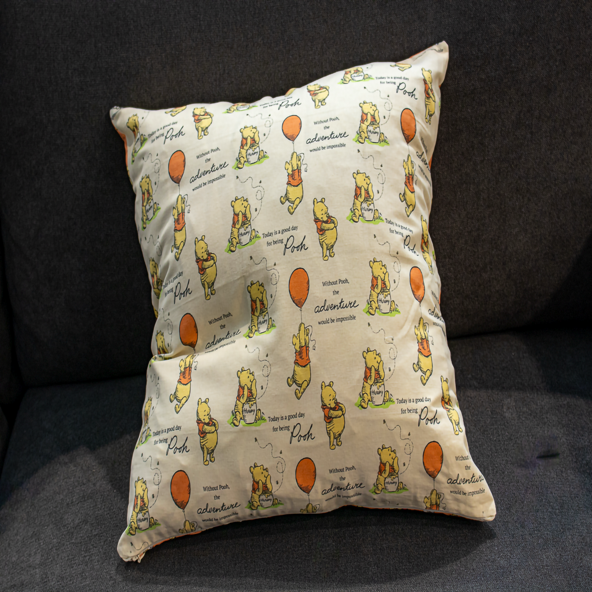Winnie the Pooh holding a balloon with a quote, "Today is a good day for being Pooh," on a cream background, adding warmth and charm to your space. Reversible.